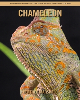 Paperback Chameleon: An Amazing Animal Picture Book about Chameleon for Kids Book