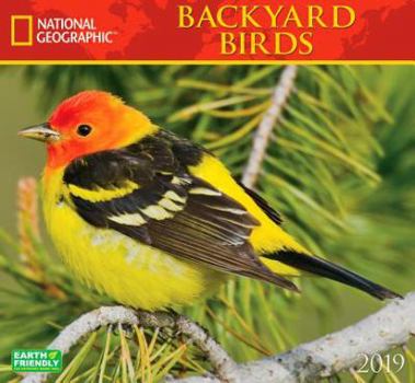 Calendar National Geographic Backyard Birds 2019 Calendar Book