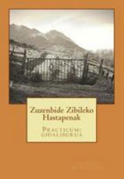 Paperback Zuzenbide Zibileko Hastapenak: Practicum: gidaliburua [Basque] Book