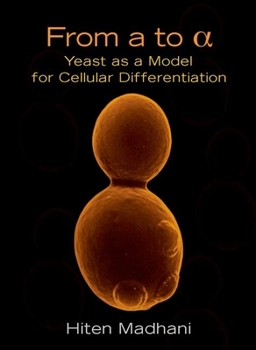 Paperback From a to alpha: Yeast as a Model for Cellular Differentiation Book