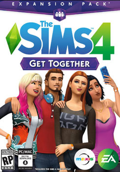 Video Game Sims 4: Get Together Book