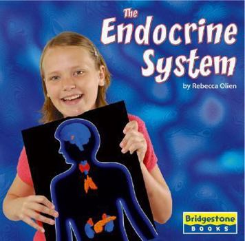 Hardcover The Endocrine System Book