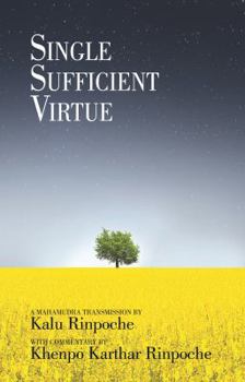 Paperback Single Sufficient Virtue Book