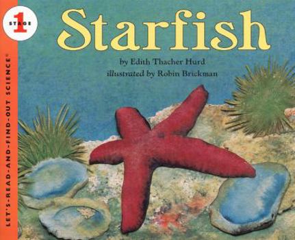Starfish (Let's-Read-and-Find-Out Science) - Book  of the Let's-Read-and-Find-Out Science, Stage 1