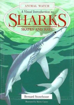 Hardcover A Visual Introduction to Sharks: A Visual Introduction to Sharks, Skates, and Rays Book