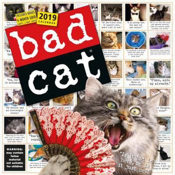 Calendar Bad Cat Wall Calendar 2019 Book