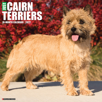 Calendar Just Cairn Terriers 2022 Wall Calendar (Dog Breed) Book