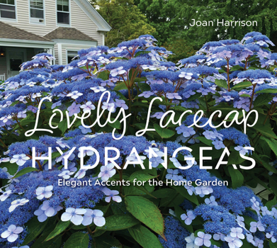 Hardcover Lovely Lacecap Hydrangeas: Elegant Accents for the Home Garden Book