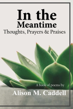 Paperback In the Meantime: Thoughts, Prayers & Praises Book