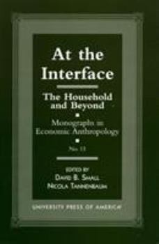 Paperback At the Interface: The Household and Beyond Book