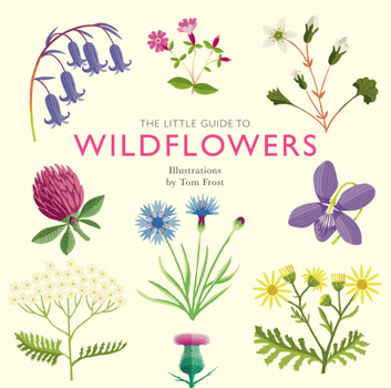 Hardcover The Little Guide to Wildflowers Book