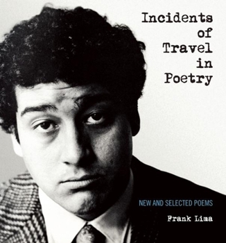 Paperback Incidents of Travel in Poetry: New and Selected Poems Book