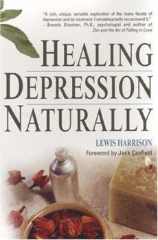 Paperback Healing Depression Naturally Book