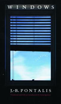 Paperback Windows: Fenetres Book