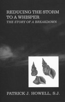 Paperback Reducing the Storm to a Whisper: The Story of a Breakdown Book