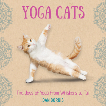 Hardcover Yoga Cats Book