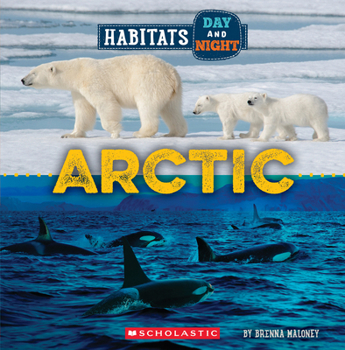 Paperback Arctic (Wild World: Habitats Day and Night) Book