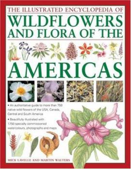 Hardcover The Illustrated Encyclopedia of Wild Flowers and Flora of the Americas: An Authoritative Guide to More Than 750 Wild Flowers of the USA, Canada, Centr Book