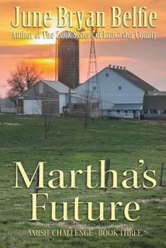 Martha's Future - Book #3 of the Amish Challenge