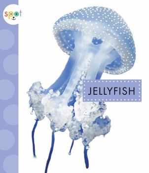 Paperback Jellyfish Book