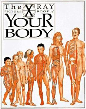 Your Body: X Ray Picture Book (X-Ray Picture Books) - Book  of the X-Ray Picture Book
