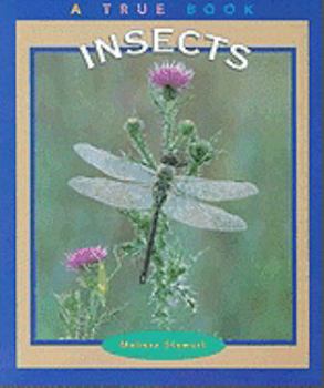 Paperback Insects Book