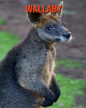 Paperback Wallaby: Learn About Wallaby and Enjoy Colorful Pictures Book