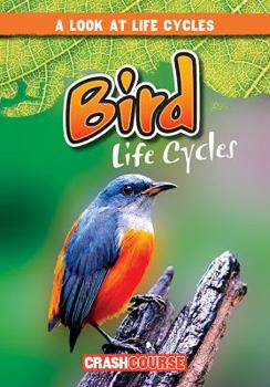 Library Binding Bird Life Cycles Book