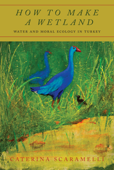 Paperback How to Make a Wetland: Water and Moral Ecology in Turkey Book