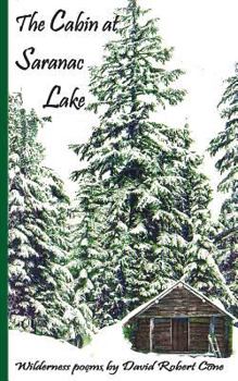 Paperback The Cabin at Saranac Lake: Wilderness Poems Book