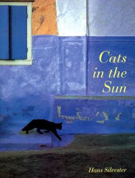 Paperback Cats in the Sun Book