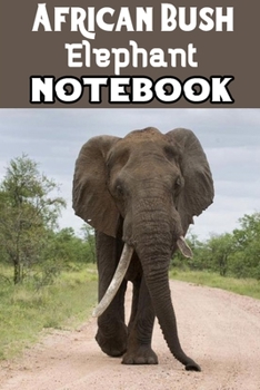 Paperback African Bush Elephant: Blank Lined Gift notebook For African Bush Elephant lovers Book