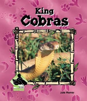 Library Binding King Cobras Book