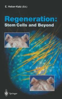 Hardcover Regeneration: Stem Cells and Beyond Book