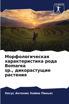 Paperback Морфологическая характ&# [Russian] Book