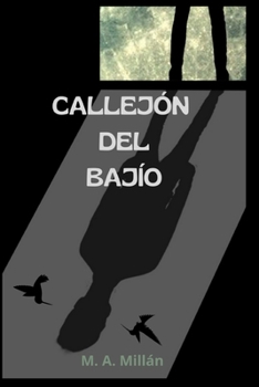 Paperback Callejón del Bajío [Spanish] Book
