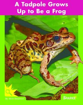 Paperback A Tadpole Grows Up to Be a Frog Book