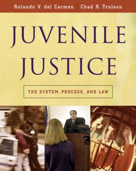 Hardcover Juvenile Justice: The System, Process and Law Book