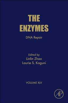 Hardcover DNA Repair: Volume 45 Book