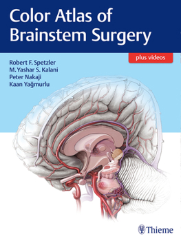Hardcover Color Atlas of Brainstem Surgery Book