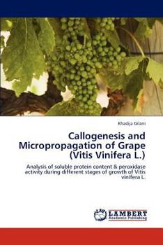 Paperback Callogenesis and Micropropagation of Grape (Vitis Vinifera L.) Book