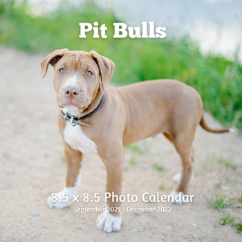 Paperback Pitbulls 8.5 X 8.5 Photo Calendar September 2021 -December 2022: Monthly Calendar with U.S./UK/ Canadian/Christian/Jewish/Muslim Holidays-Dog Breeds P Book