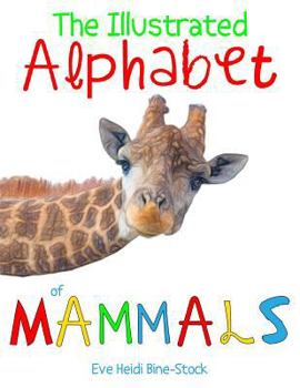 Paperback The Illustrated Alphabet of Mammals Book