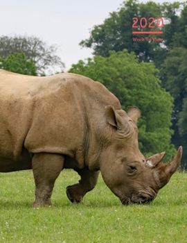 Paperback 2020 A4 Diary Week To View Planner For All Occasions: - Year Planner For Business, Office, Home, University, College, School, Appointments, Organizer. Book