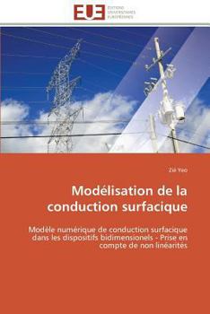 Paperback Modélisation de la conduction surfacique [French] Book