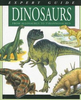 Hardcover Expert Guide Dinosaurs: From Allosaurus to Tyrannosaurus Book