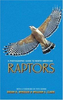 Paperback A Photographic Guide to North American Raptors Book