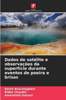 Paperback Dados de satélite e observações da superfície durante eventos de poeira e brisas [Portuguese] Book