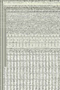 Paperback Immolation Row Book