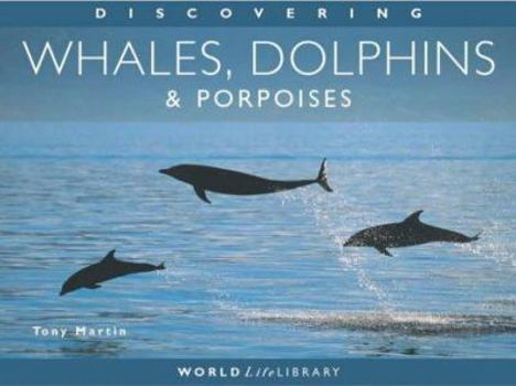 Paperback Discovering Whales, Dolphins & Porpoises Book